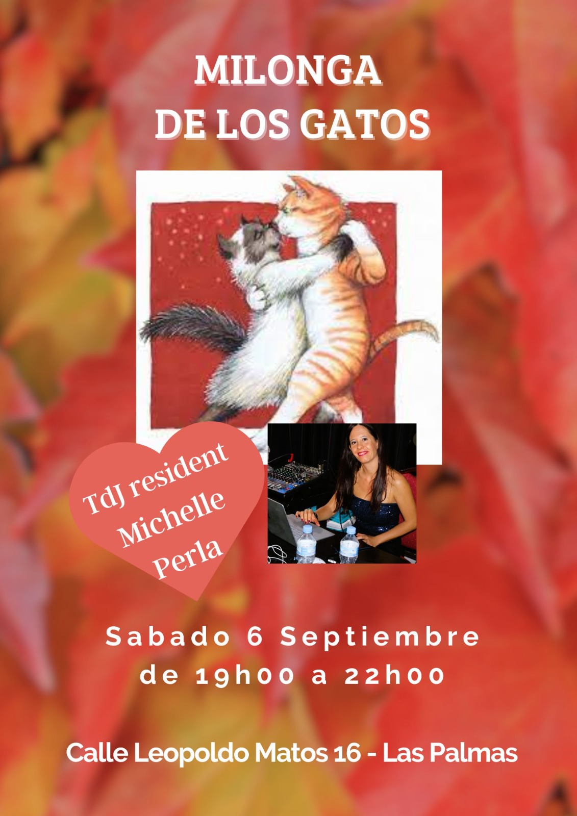 gatos 6 sep