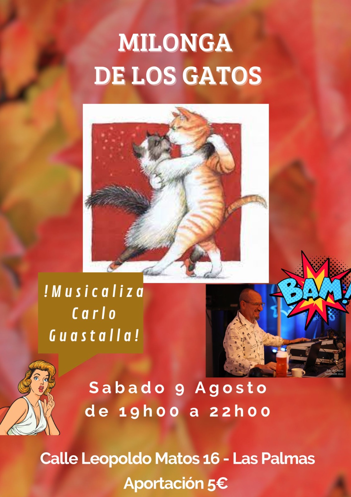 gatos 9 agosto