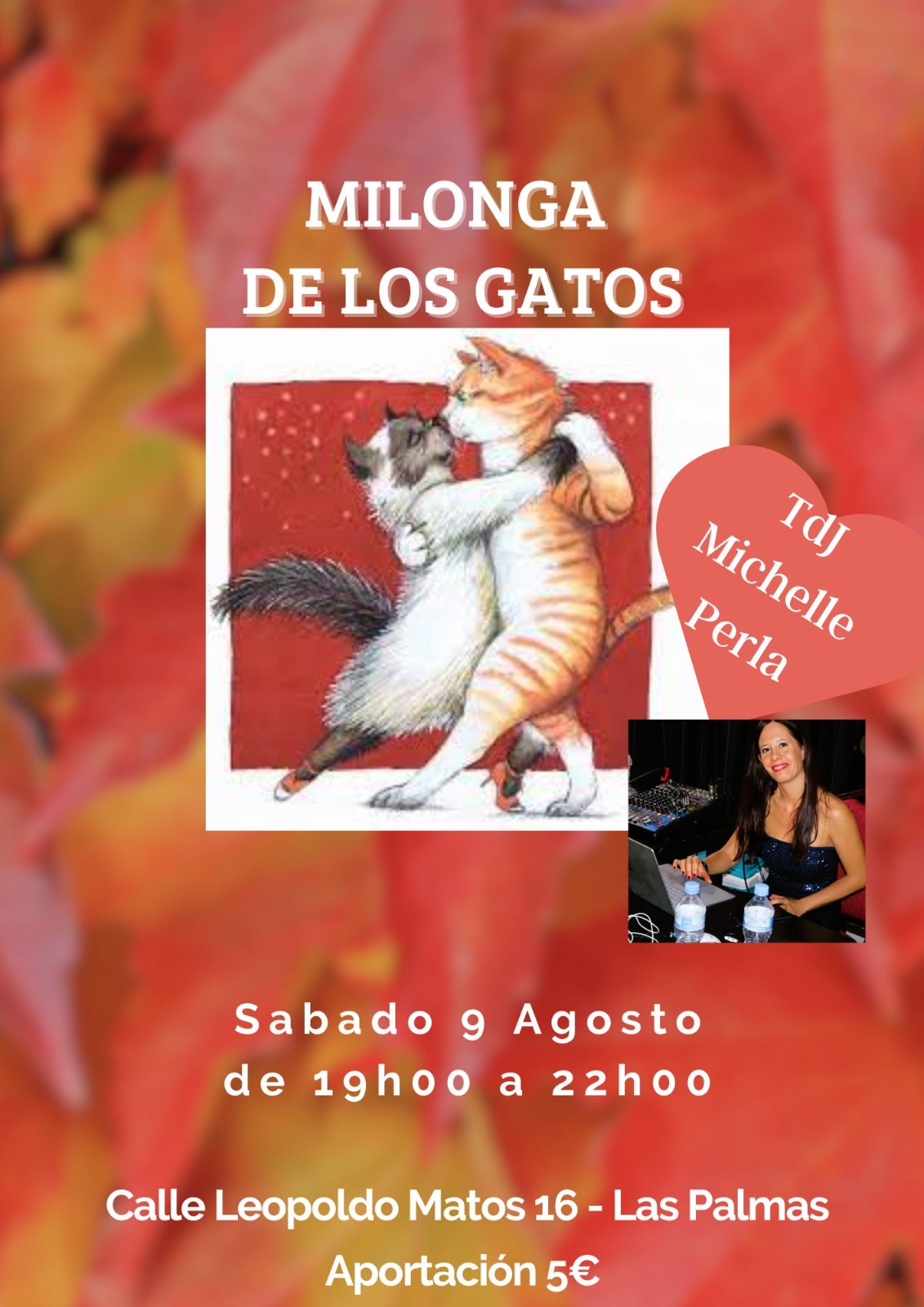 gatos 9 agosto